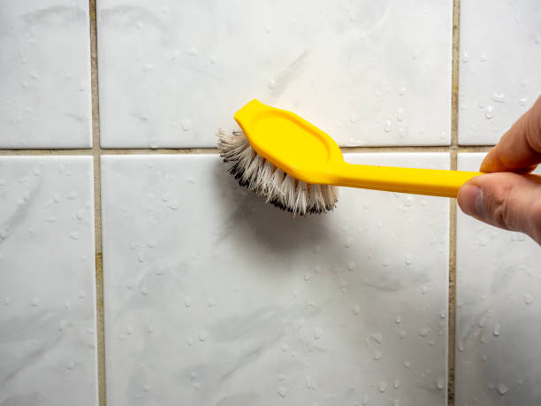 Best Mold Removal Near Me  in East Bangor, PA
