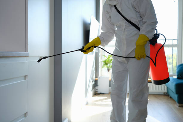Home Mold Removal in East Bangor, PA