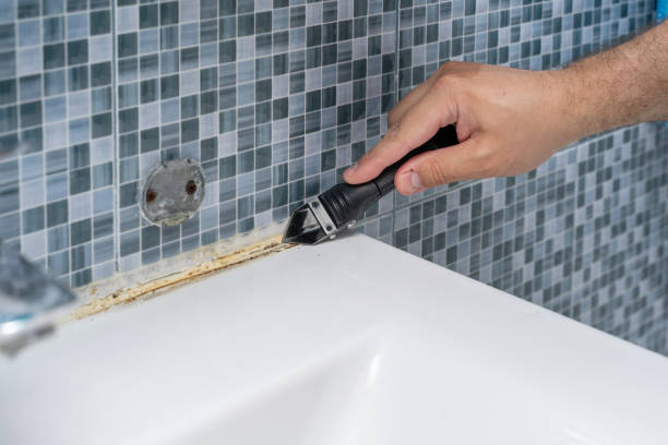 Best Attic Mold Removal  in East Bangor, PA